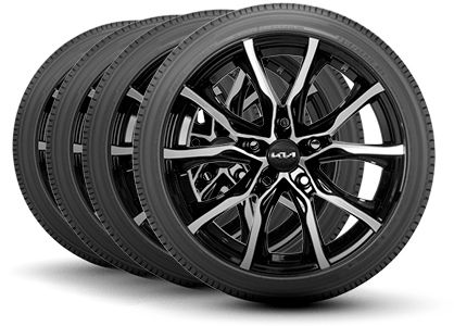 Fort Collins Kia in Fort Collins CO