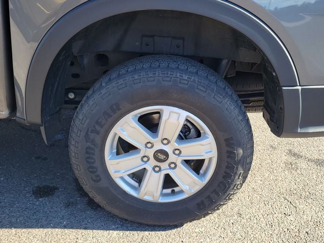 2024 Ford Ranger XL