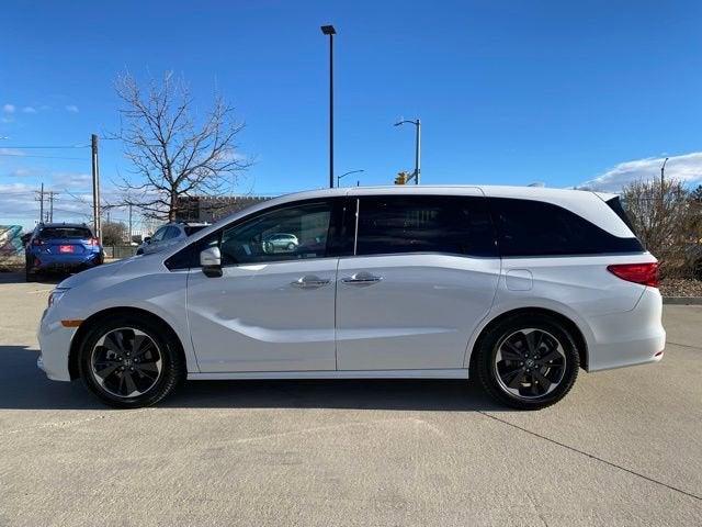 2024 Honda Odyssey Elite