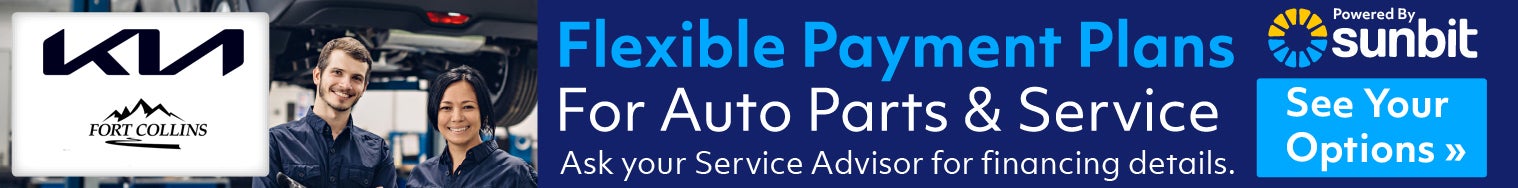 Buy Now and Pay Later Service Financing